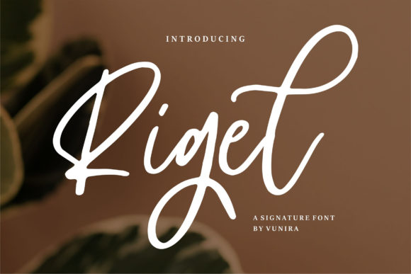 Rigel Font: A Stylish Brushed Script for Design