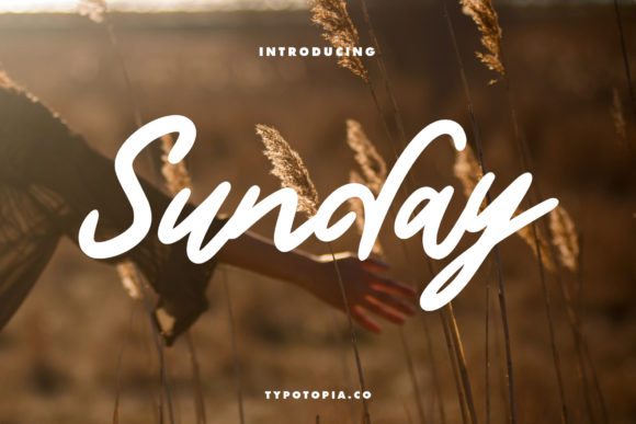 Unlocking Design Potential with the Sunday Script Font